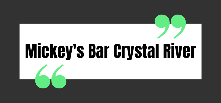 Mickey's Bar Crystal River