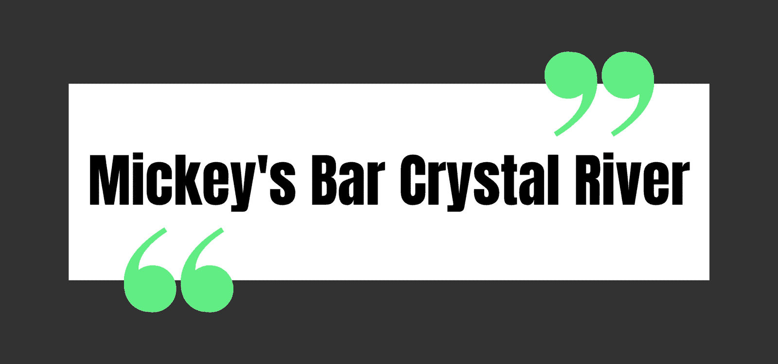 Mickey's Bar Crystal River
