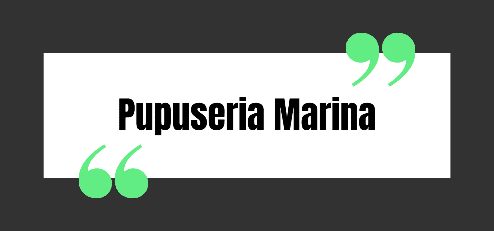 Pupuseria Marina