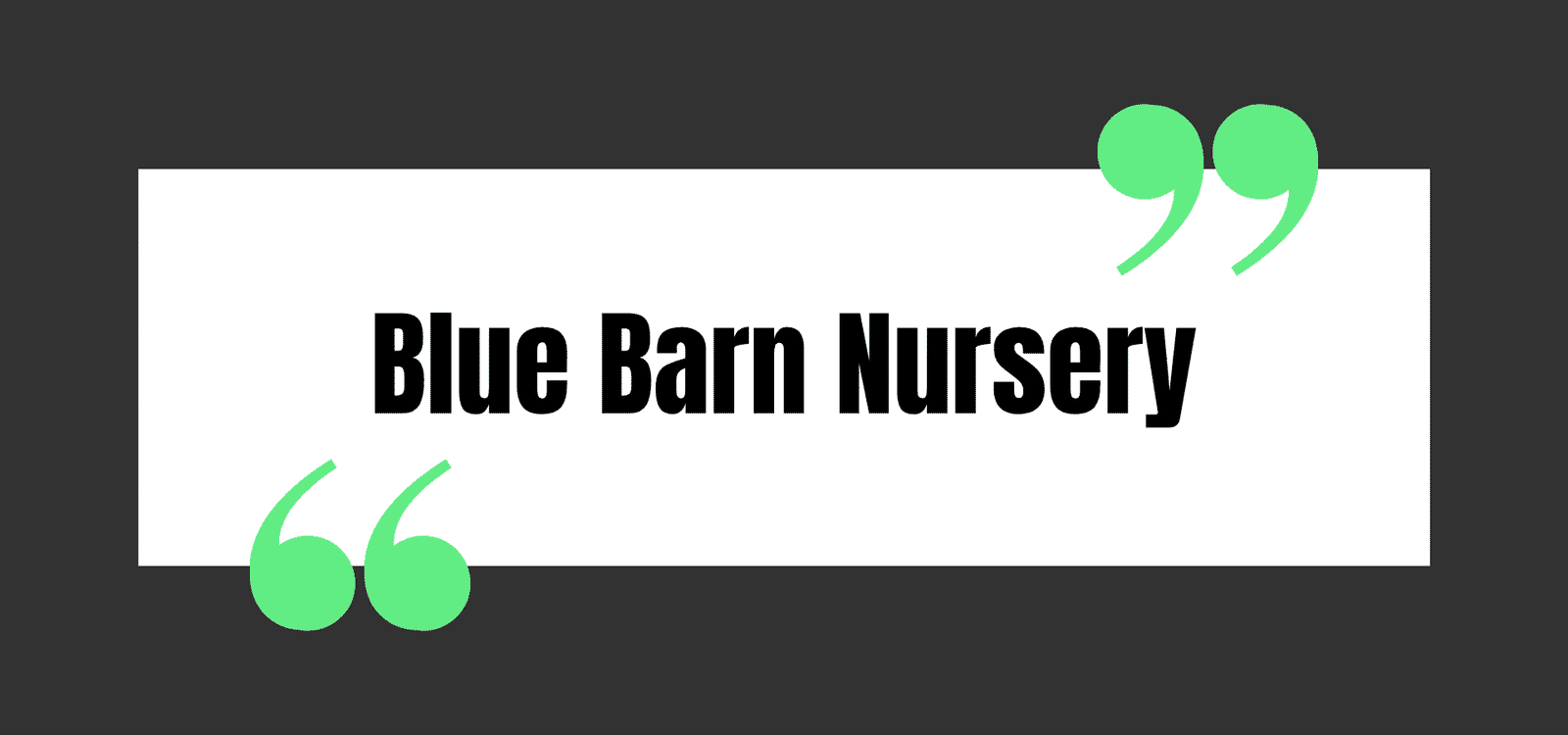 Blue Barn Nursery