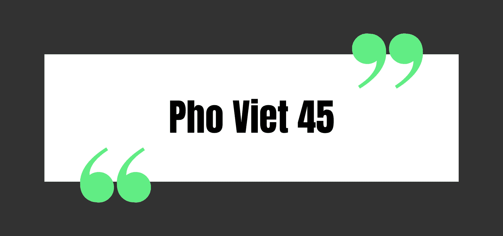 Pho Viet 45