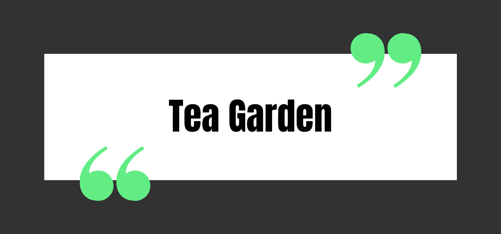 Tea Garden