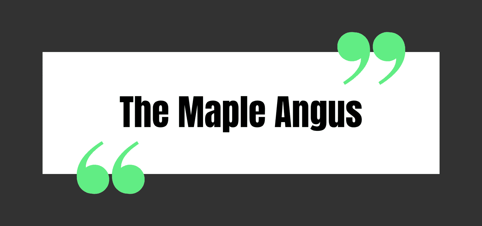 The Maple Angus