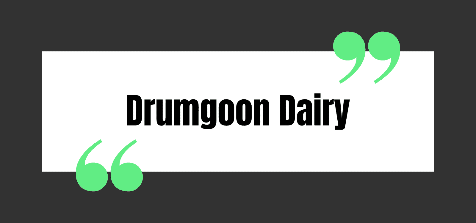 Drumgoon Dairy