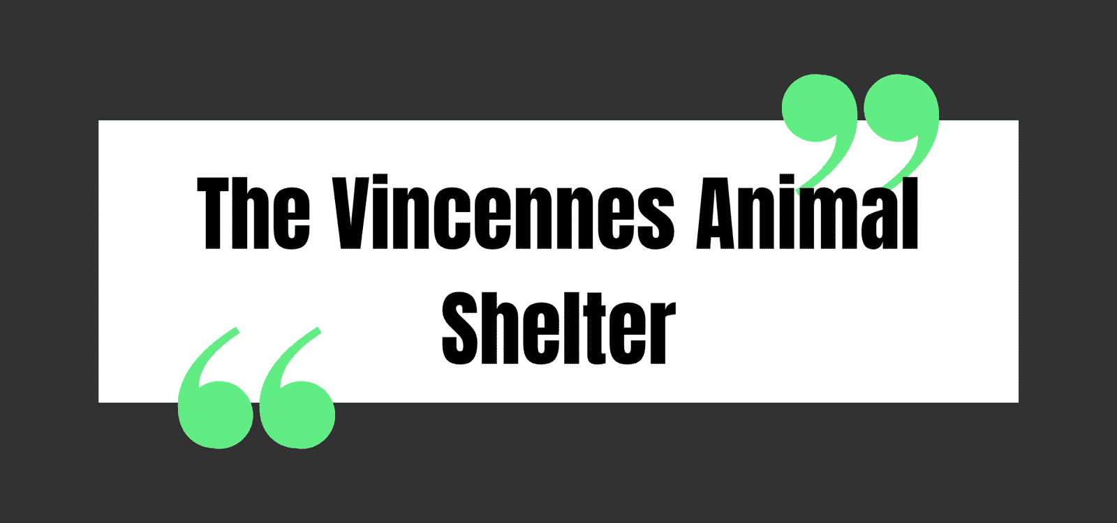 The Vincennes Animal Shelter