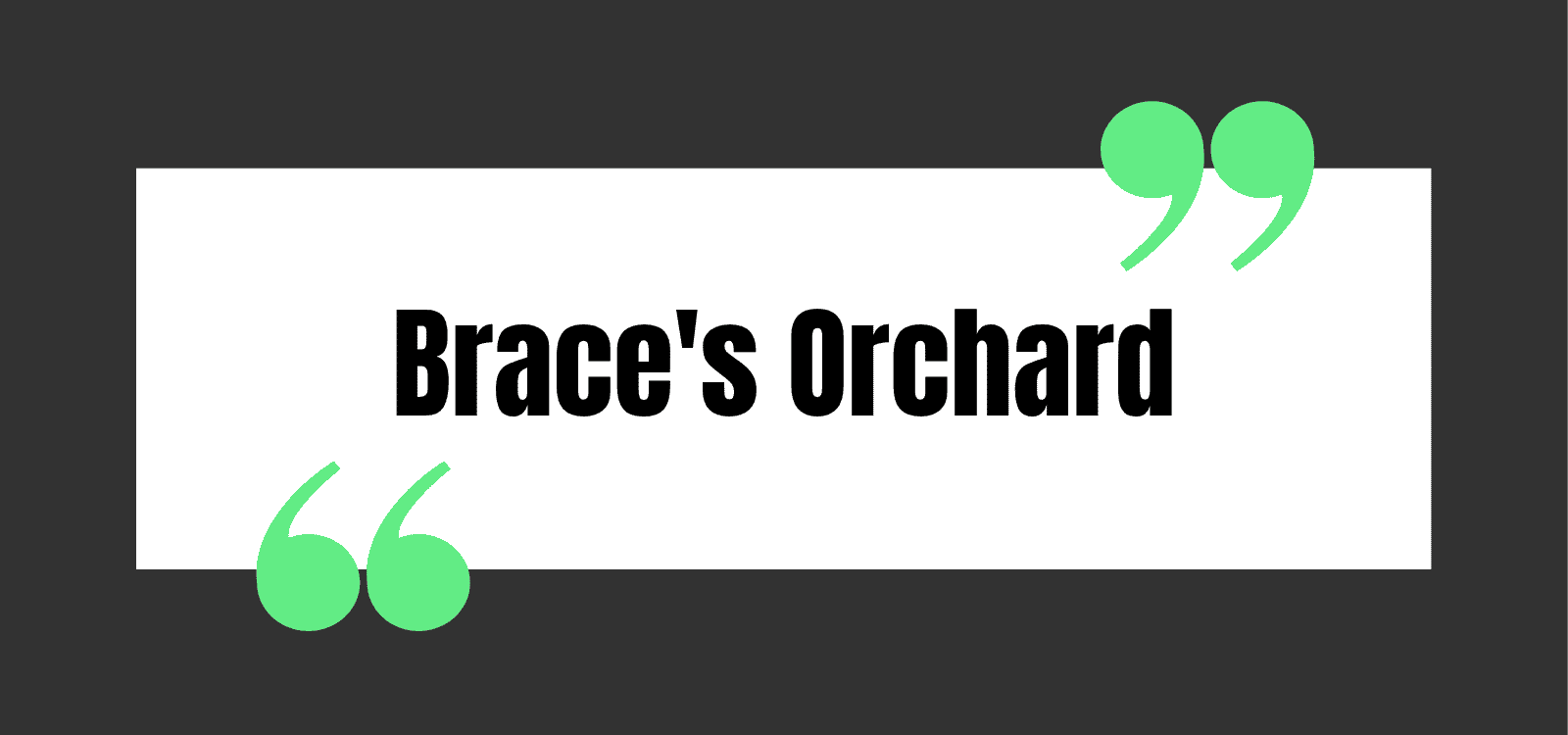 Brace's Orchard