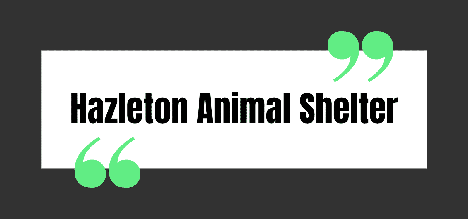 Hazleton Animal Shelter